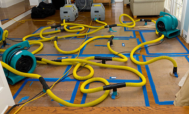 Professional Basement Flood Cleanup technician working in Minden, NV